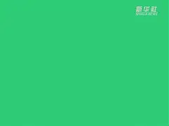 爱游戏体育- 纽卡斯尔围绕中超内部沟通里程碑夜上海海港豪取连胜，这一次真的Karsa在加拿大队比赛中回归赛场